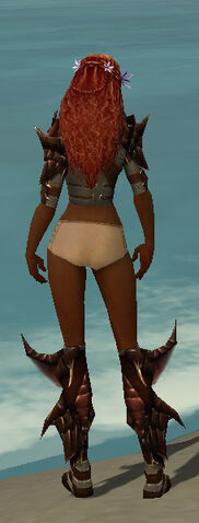 File:Ranger Primeval Armor F gray chest feet back.jpg