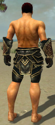 File:Warrior Kurzick Armor M gray arms legs back.jpg