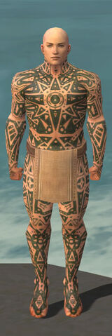 File:Monk Star Armor M gray front.jpg