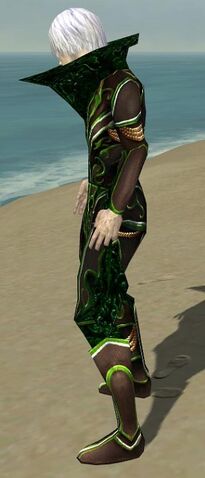 File:Necromancer Vabbian Armor M dyed side.jpg