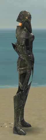 File:Warrior Elite Platemail Armor F gray side.jpg