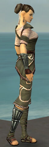 File:Monk Shing Jea Armor F gray side.jpg