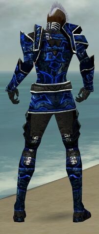 File:Necromancer Fanatic Armor M dyed back.jpg