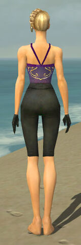 File:Mesmer Ascalon Armor F gray arms legs back.jpg
