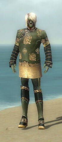 File:Mesmer Elite Canthan Armor M gray front.jpg