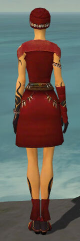 File:Ritualist Shing Jea Armor F dyed back.jpg