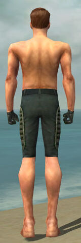 File:Mesmer Rogue Armor M gray arms legs back.jpg