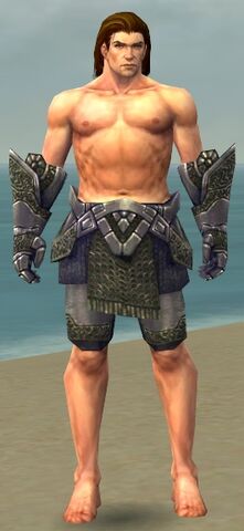 File:Warrior Platemail Armor M gray arms legs front.jpg