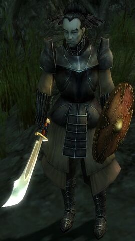 File:Kommandant Aren.jpg