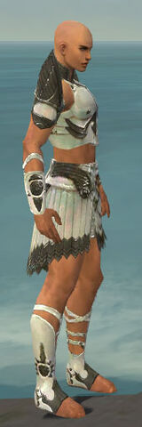 File:Paragon Sunspear Armor M gray side.jpg