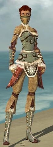 File:Ranger Canthan Armor F gray front.jpg