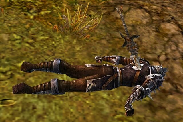 File:Fallen Vanguard Soldier.jpg
