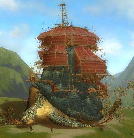 File:Settlement Turtle.jpg