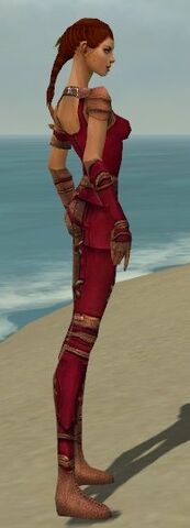 File:Ranger Ascalon Armor F dyed side.jpg