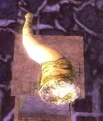 Stormcaller Horn