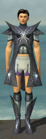 File:Elementalist Stormforged Armor M gray chest feet front.jpg