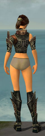 File:Warrior Kurzick Armor F gray chest feet back.jpg