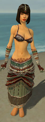File:Ritualist Elite Exotic Armor F gray arms legs front.jpg