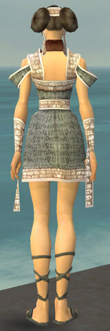 File:Monk Woven Armor F gray back.jpg