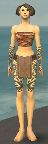 File:Monk Dragon Armor F gray arms legs front.jpg