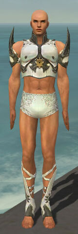 File:Paragon Sunspear Armor M gray chest feet front.jpg