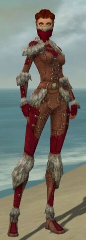 File:Ranger Fur-Lined Armor F dyed front.jpg