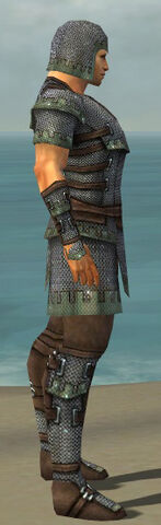 File:Warrior Tyrian Armor M gray side.jpg