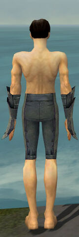 File:Elementalist Krytan Armor M gray arms legs back.jpg