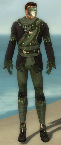 File:Mesmer Elite Luxon Armor M gray front.jpg