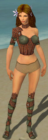 File:Ranger Studded Leather Armor F gray chest feet front.jpg