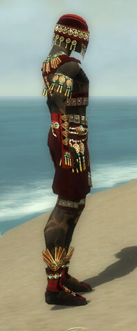 File:Ritualist Elite Luxon Armor M dyed side.jpg