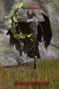 Elder Skree Tracker
