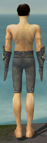 File:Elementalist Stoneforged Armor M gray arms legs back.jpg