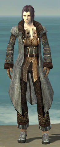 File:Elementalist Vabbian Armor M gray front.jpg