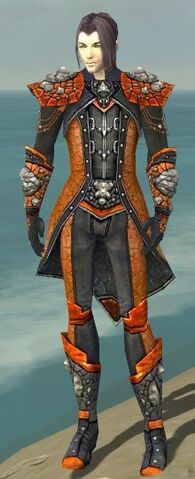 File:Elementalist Elite Stoneforged Armor M dyed front.jpg