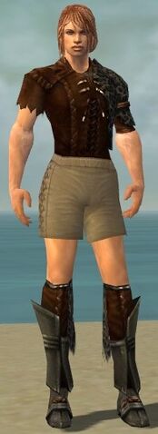 File:Ranger Istani Armor M gray chest feet front.jpg