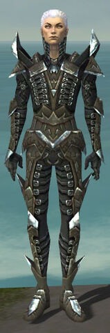 File:Necromancer Profane Armor M gray front.jpg