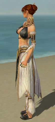 File:Elementalist Elite Sunspear Armor F gray side.jpg