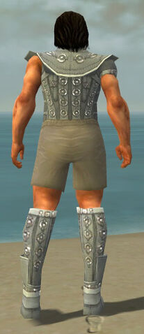 File:Warrior Ascalon Armor M gray chest feet back.jpg