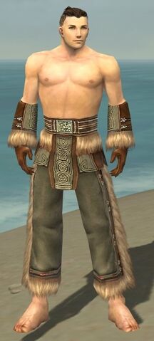 File:Monk Norn Armor M gray arms legs front.jpg