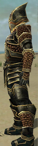 File:Warrior Kurzick Armor M gray side.jpg