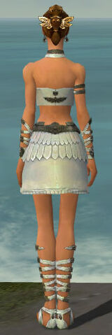 File:Paragon Istani Armor F gray back.jpg