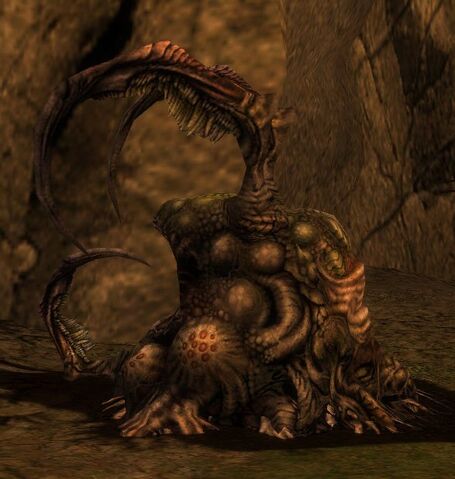 File:Fungal bloom.jpg