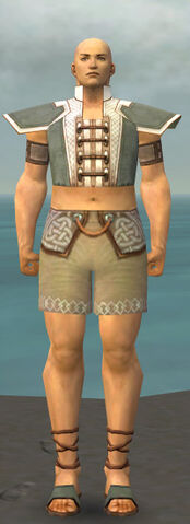 File:Monk Krytan Armor M gray chest feet front.jpg