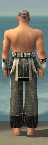 File:Monk Elite Sunspear Armor M gray arms legs back.jpg