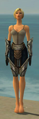 File:Warrior Sunspear Armor F gray arms legs front.jpg