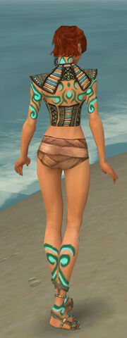 File:Monk Elite Luxon Armor F gray chest feet back.jpg