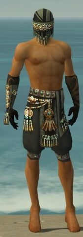 File:Ritualist Elite Luxon Armor M gray arms legs front.jpg