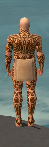 File:Monk Star Armor M dyed back.jpg