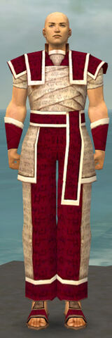 File:Monk Woven Armor M dyed front.jpg
